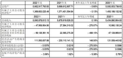 江苏中超控股股份有限公司2022年度报告摘要
