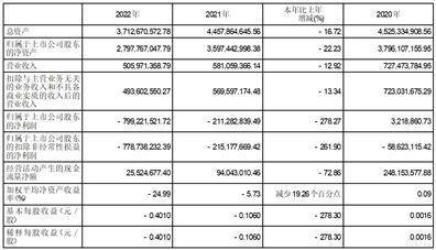 中珠医疗控股股份有限公司2022年度报告摘要