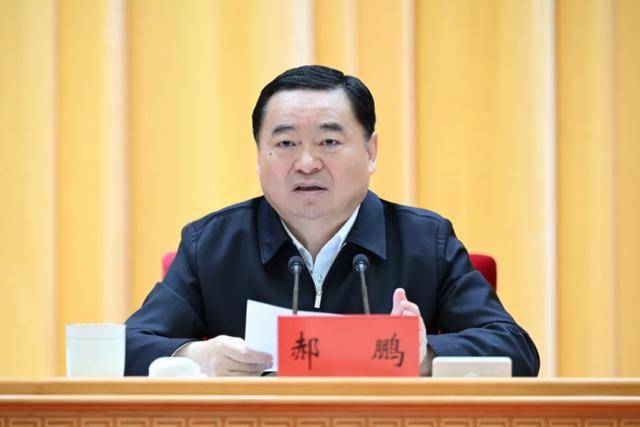 辽宁省委书记郝鹏：瞪大眼睛、严防死守<strong></p>
<p>金融网</strong>！