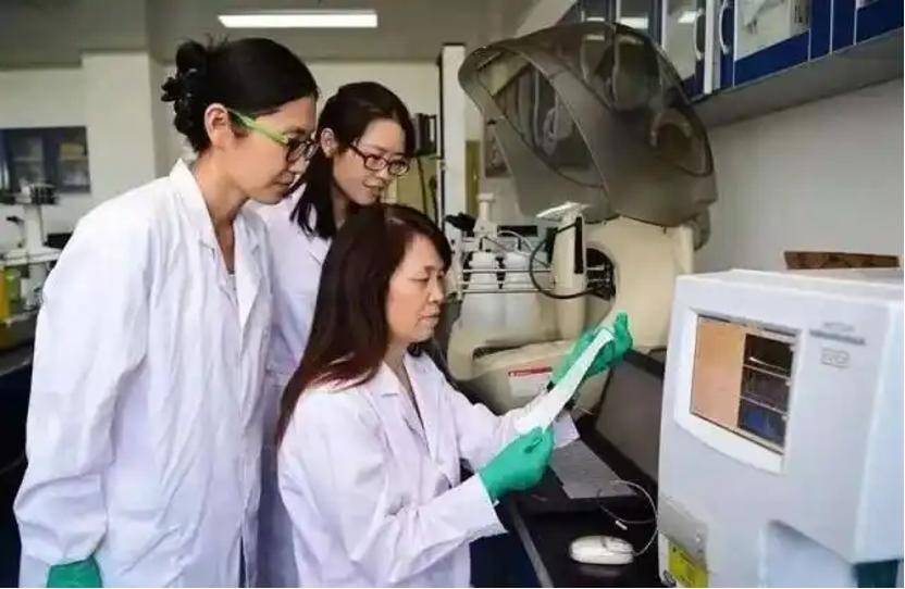 深挖 | “西北大学副校长范代娣成陕西首富”系乌龙<strong></p>
<p>宝象金融</strong>，但她的人生如同开挂