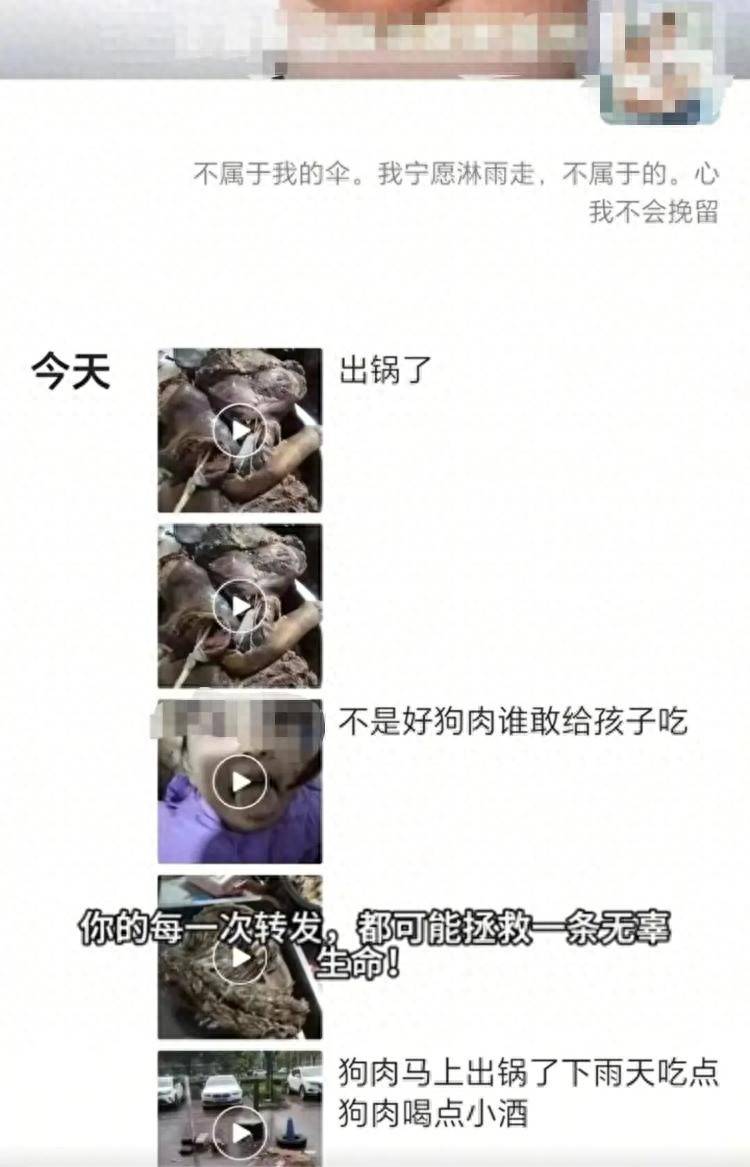 沈阳一店铺老板假借领养名义烹食流浪狗<strong></p>
<p>宝象金融</strong>，警方：正在研讨处置