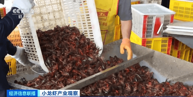 价格暴跌近50%<strong></p>
<p>金融论坛</strong>！“接下来还会降”！青岛正大量上市……