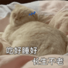 新冠又双叒叕来了<strong></p>
<p>金融网站</strong>？中疾控：全国阳性率突破16%