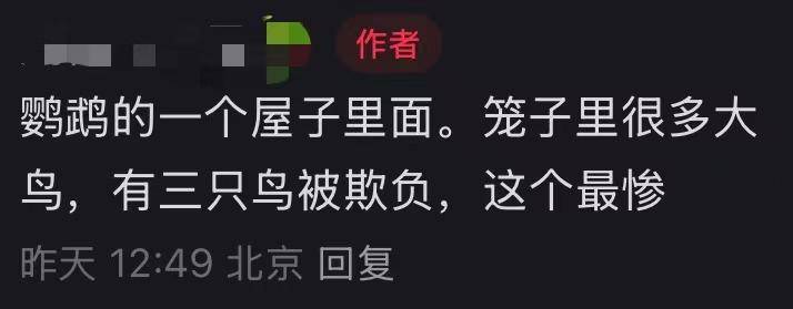 北京动物园一小鹦鹉被拍到头顶光秃皮肤裸露疑似抑郁<strong></p>
<p>金融网站</strong>，网友直呼心疼，园方回应