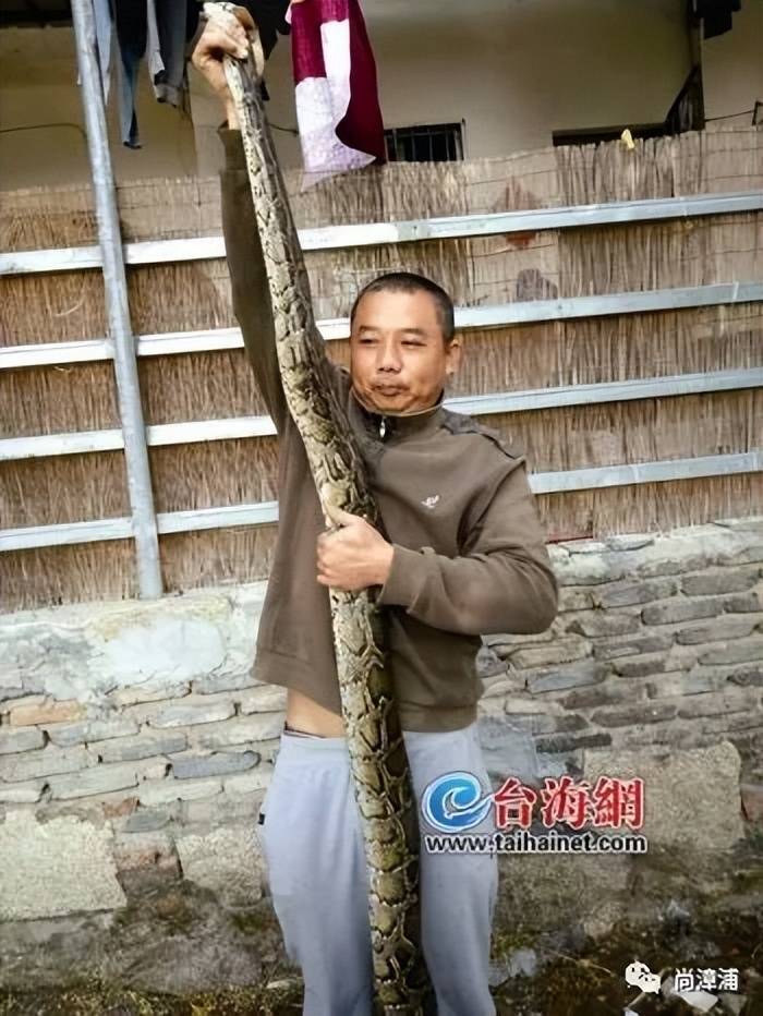 女游客疑被蛇咬伤身亡后<strong></p>
<p>万达金融</strong>，博主“啊宝”讲毒蛇1天涨粉190万
