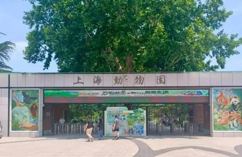 10月龄婴儿展馆内喝奶被赶出<strong></p>
<p>通用金融</strong>，上海动物园称做法合规，客服：暂未接到增设母婴室通知