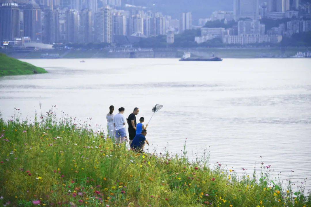 重庆预计降温时间来了<strong></p>
<p>国际金融危机</strong>！