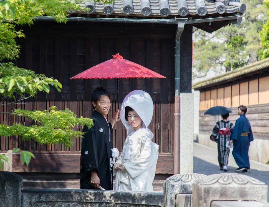 在日本<strong></p>
<p>黔农云</strong>，不婚先从普通人开始