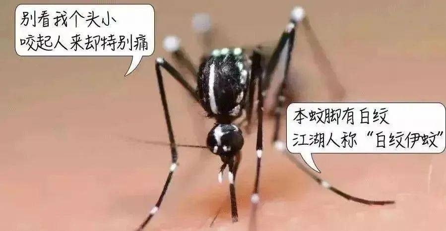 风险增大<strong></p>
<p>云闪付</strong>！深圳疾控：去这247处要小心！张文宏首次发声