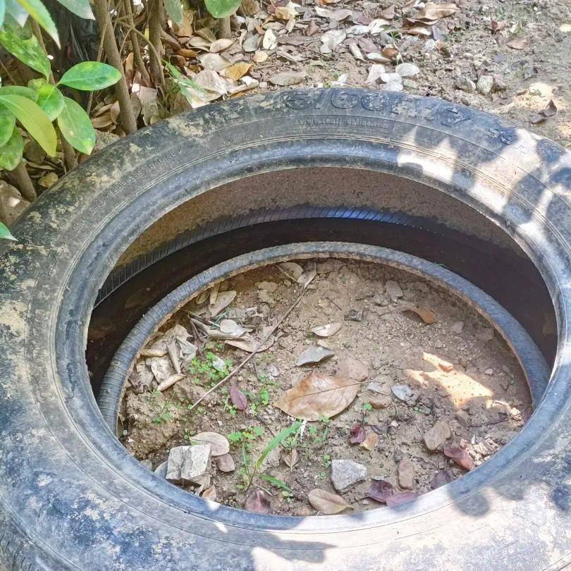 青岛疾控最新提醒：全民行动<strong></p>
<p>云闪付</strong>！翻盆倒罐、清除积水！