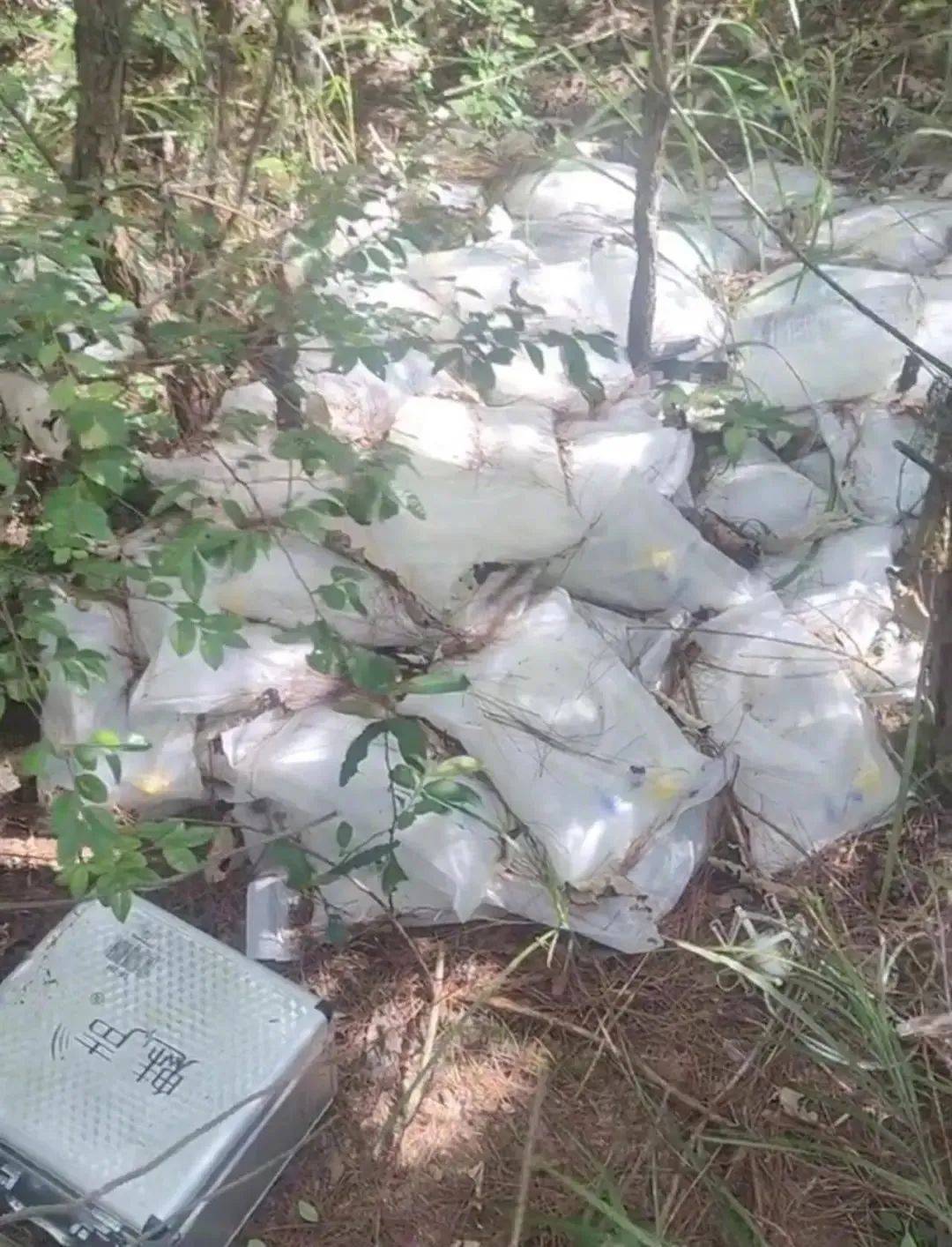 大量未过期药品被丢弃在树林里<strong></p>
<p>招生</strong>？江西南城通报