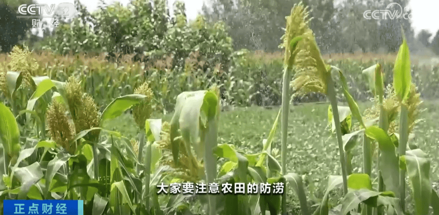4天下了近1年的雨<strong></p>
<p>招生</strong>！北京这场雨为何如此极端？专家解读→