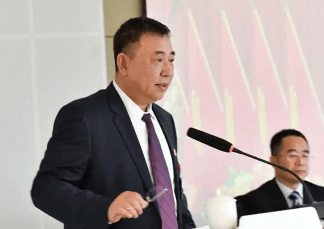 涉嫌严重违纪违法<strong></p>
<p>门锁</strong>，原董事长邵阳被查