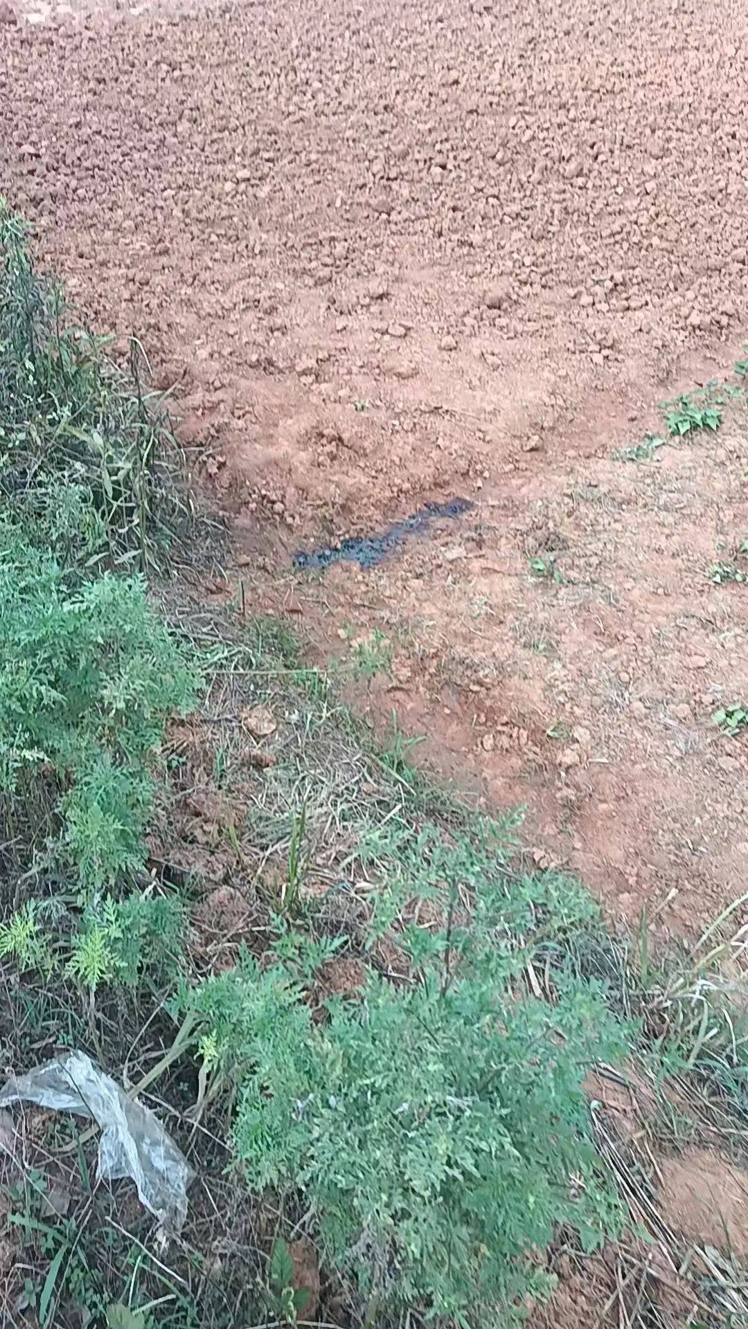 工人被误当猎物枪击身亡<strong></p>
<p>特斯拉股票</strong>，警方通报：屈某某、罗某某被刑拘