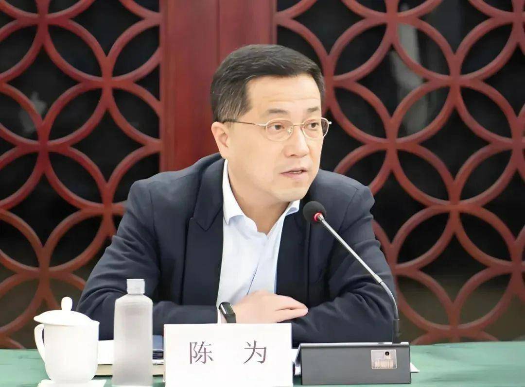 上海市纪委监委：陈为任上被查<strong></p>
<p>四川长虹股票</strong>！