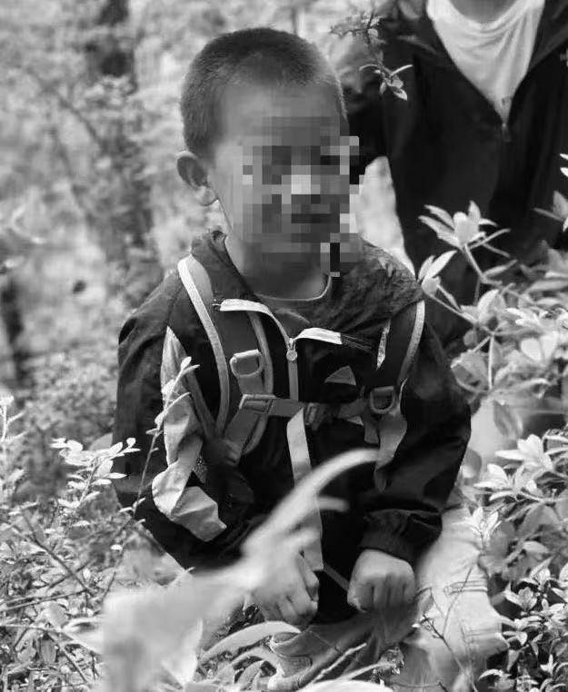 大理苍山走失的8岁自闭症男童已不幸离世<strong></p>
<p>英伟达股票</strong>，遗体在一处山涧里被发现