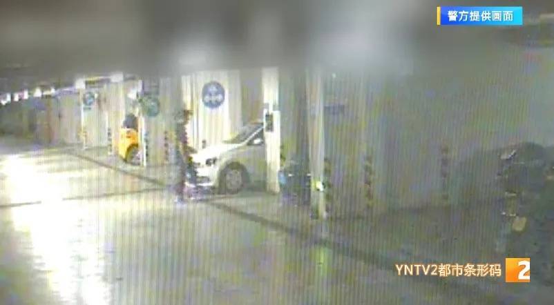 凌晨怪事！男子提着茅台袋子在车库<strong></p>
<p>腾讯股票</strong>，翻垃圾桶竟为了.....