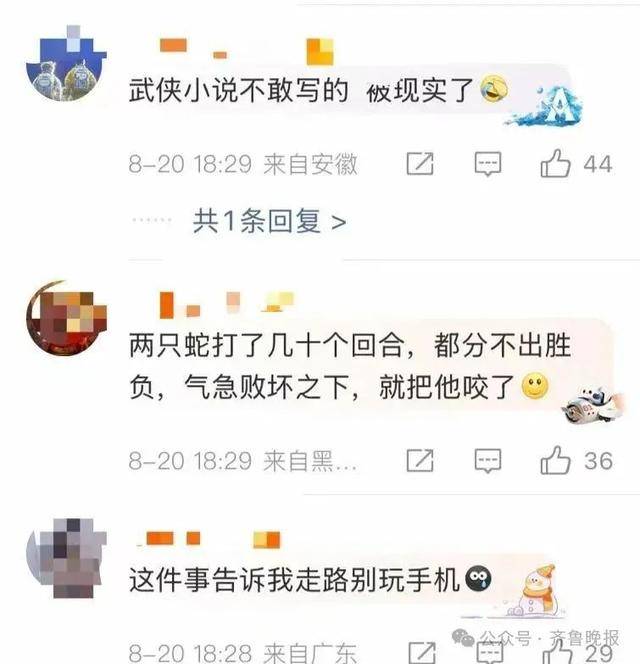 安徽宣城一男子走路玩手机<strong></p>
<p>中芯国际股票</strong>，一脚踩中打架的竹叶青和五步蛇，被俩毒蛇咬3口！医院：暂无生命危险，正在治疗