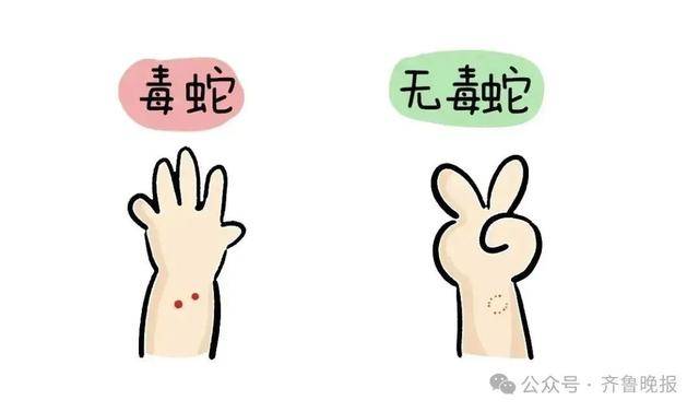 安徽宣城一男子走路玩手机<strong></p>
<p>中芯国际股票</strong>，一脚踩中打架的竹叶青和五步蛇，被俩毒蛇咬3口！医院：暂无生命危险，正在治疗