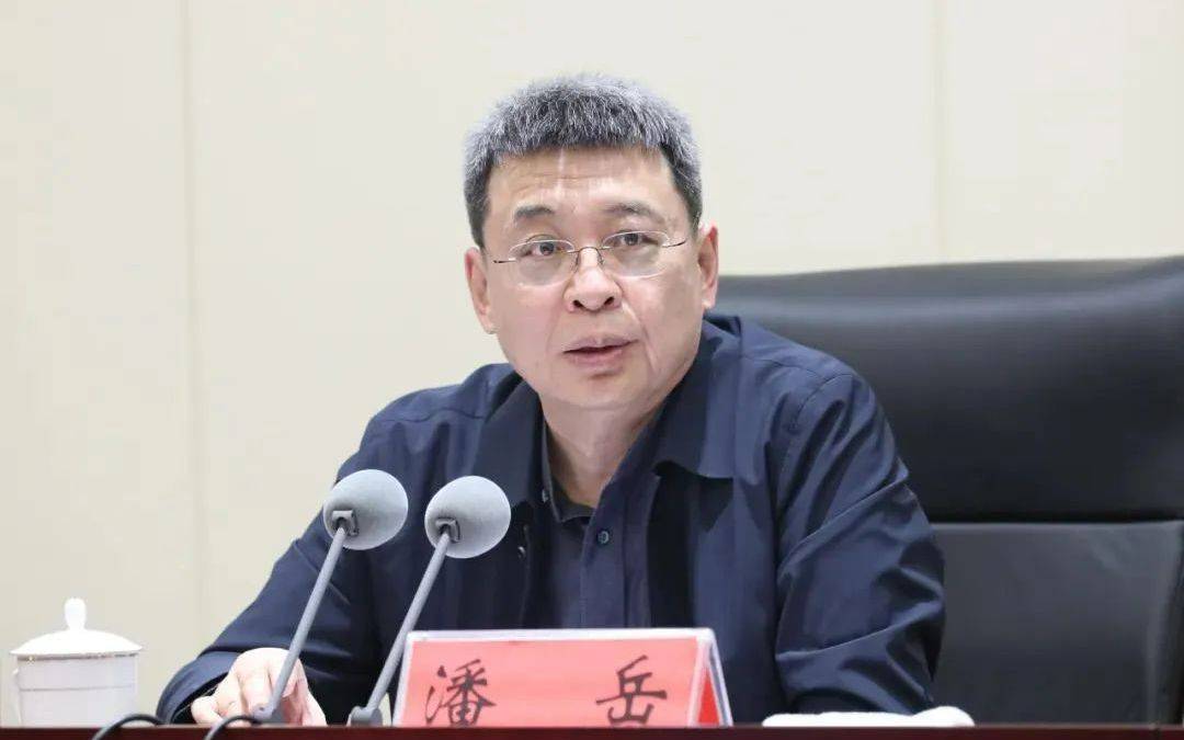 正部级潘岳<strong></p>
<p>寒武纪股票</strong>，有新职