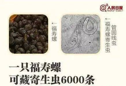 别吃！寄生虫多达6000条！浙江一地大量出现<strong></p>
<p>寒武纪股票</strong>，看到立刻上报
