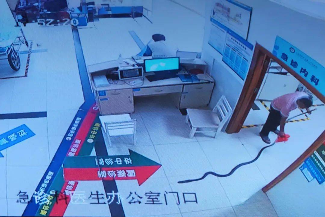 眼镜王蛇咬伤老人<strong></p>
<p>中兴通讯股票</strong>，家属拖两米多长的“凶手”冲进医院！“拎蛇就医”可取吗？