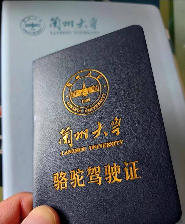 一人一驼<strong></p>
<p>工商银行股票</strong>，骆驼尾气排放超标要扣分？兰大回应学生持证骑骆驼上学：骆驼驾驶证为学校文创，非官方证件