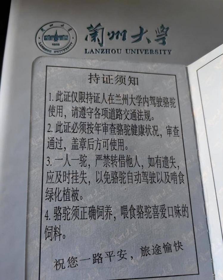 一人一驼<strong></p>
<p>工商银行股票</strong>，骆驼尾气排放超标要扣分？兰大回应学生持证骑骆驼上学：骆驼驾驶证为学校文创，非官方证件