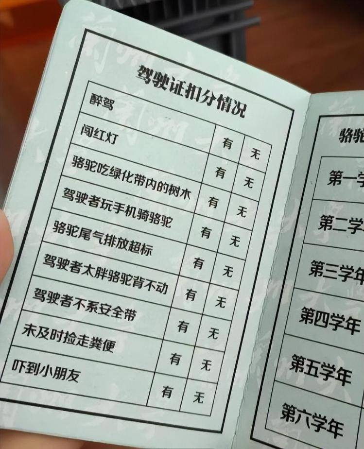 一人一驼<strong></p>
<p>工商银行股票</strong>，骆驼尾气排放超标要扣分？兰大回应学生持证骑骆驼上学：骆驼驾驶证为学校文创，非官方证件