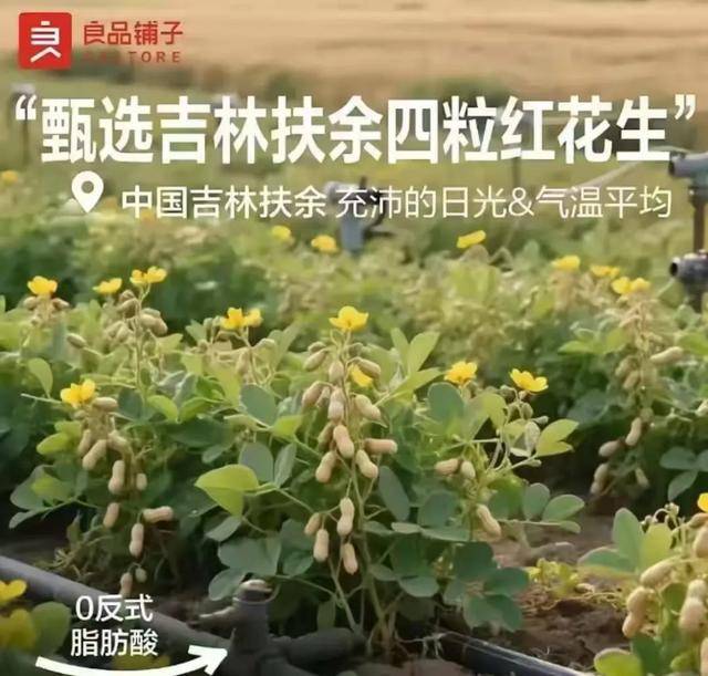 “花生上树”闹剧：AI翻车背后<strong></p>
<p>贵州茅台股票</strong>，我们都在弄丢常识？