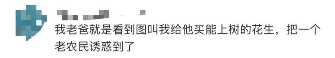 “花生上树”闹剧：AI翻车背后<strong></p>
<p>贵州茅台股票</strong>，我们都在弄丢常识？