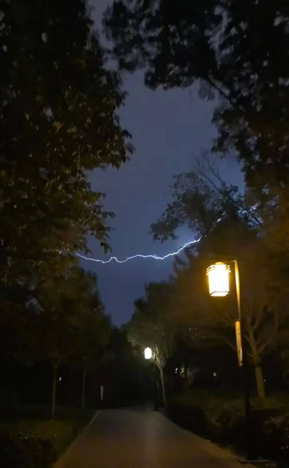 知名女主持人自曝：我雷暴哮喘了！太原这家医院急诊数小时内曾接诊400多人<strong></p>
<p>中百集团股票</strong>，近期高发