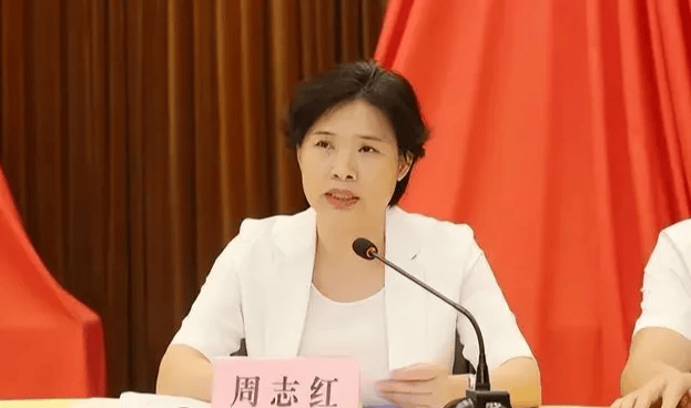 中共中央批准<strong></p>
<p>长电科技股票</strong>，开除周志红党籍