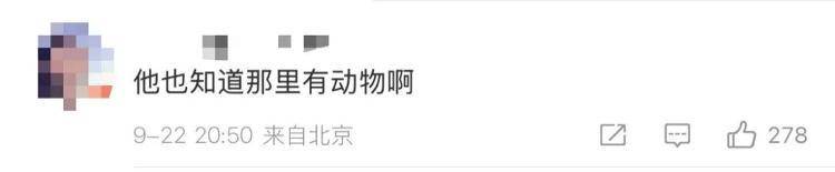 “感谢大家支持我大闹天宫……”蔡国强烟花秀现场感言视频披露<strong></p>
<p>美团股票</strong>，又遭质疑！