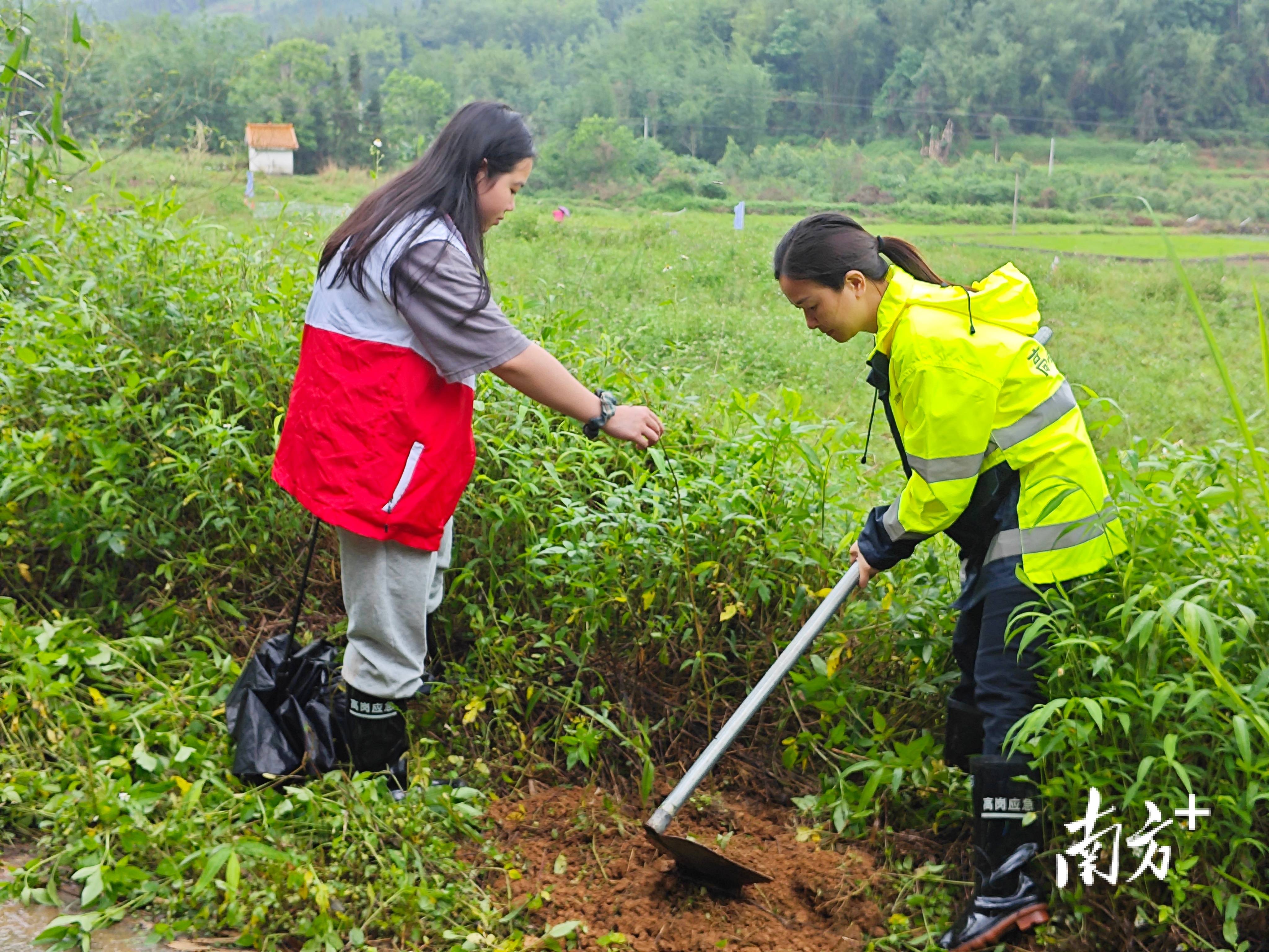 “外来媳妇”谭焕贞五年深耕<strong></p>
<p>常山北明股票</strong>,佛冈高岗宝山村换新貌