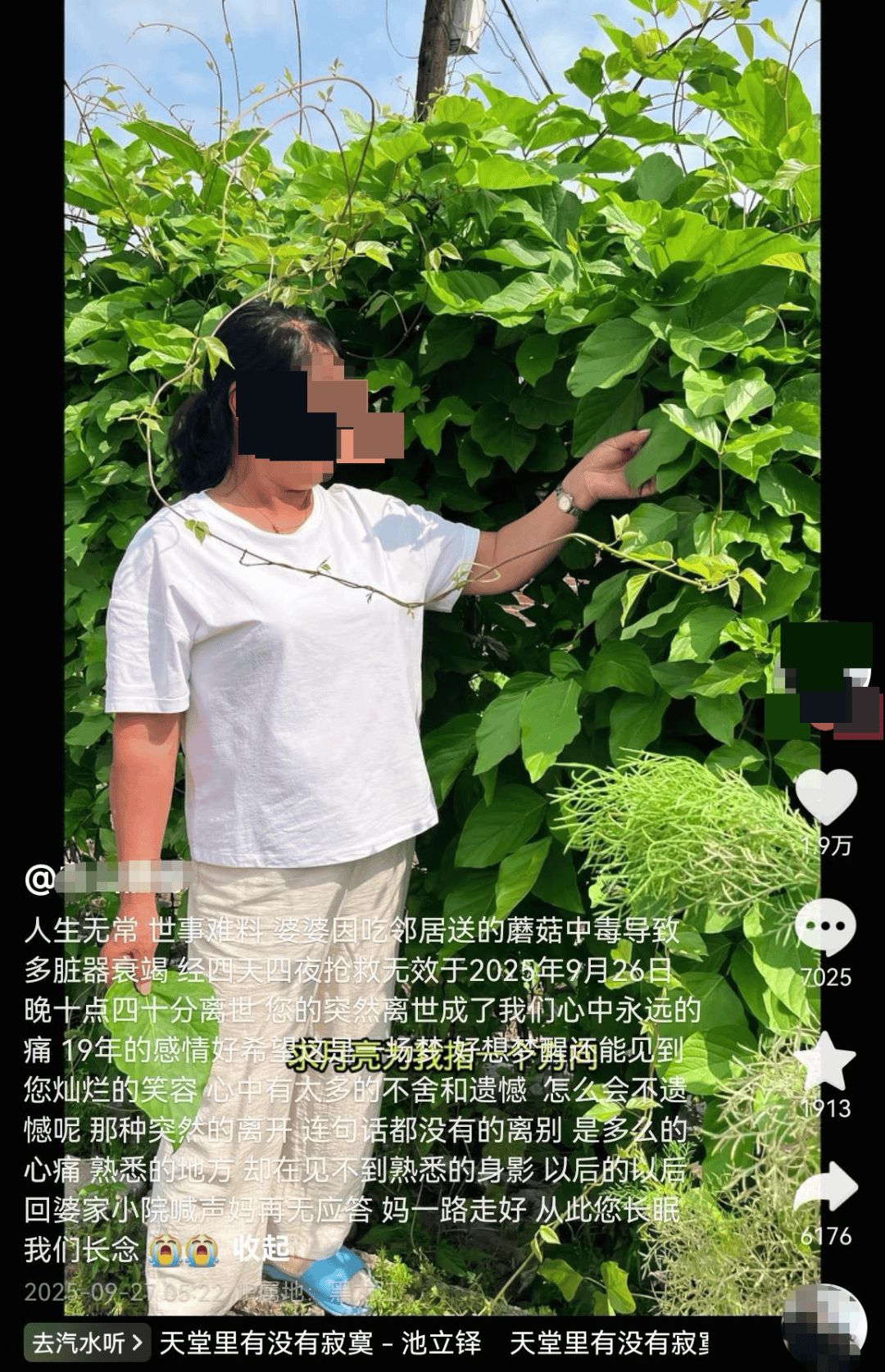 网红发文悼念婆婆：吃了邻居送的蘑菇中毒<strong></p>
<p>如何选股票</strong>，抢救四天四夜死亡！这些蘑菇避毒原则可能是陷阱→