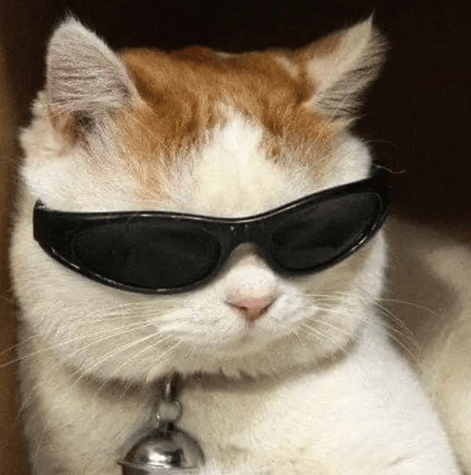 “不亚于春节回家”!凌晨5点<strong></p>
<p>中国石油股票</strong>,深圳有人已经堵在路上……