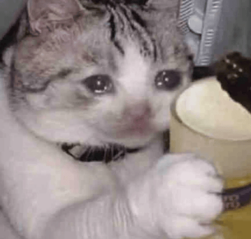 “不亚于春节回家”!凌晨5点<strong></p>
<p>中国石油股票</strong>,深圳有人已经堵在路上……