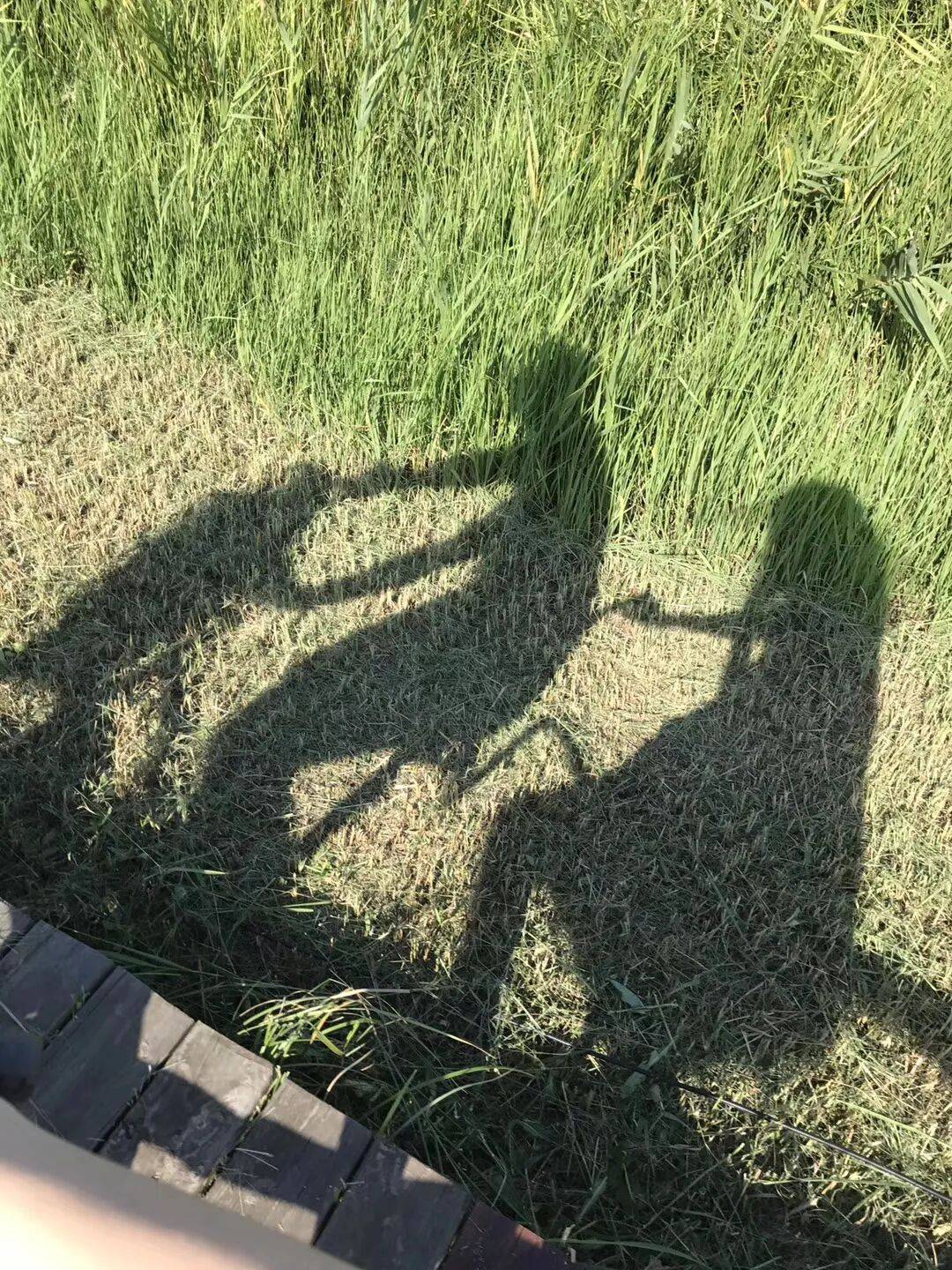 纸质火车票退场<strong></p>
<p>中国石油股票</strong>，每道折痕里都藏着远方、爱情与山河记忆