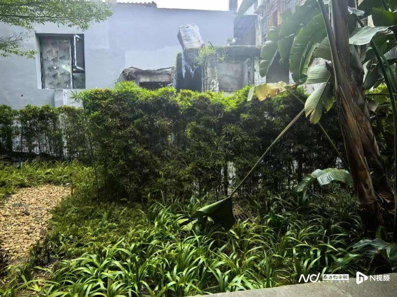 暗访回头看：广州口袋公园乱象整改成效如何<strong></p>
<p>中国石油股票</strong>？记者再探