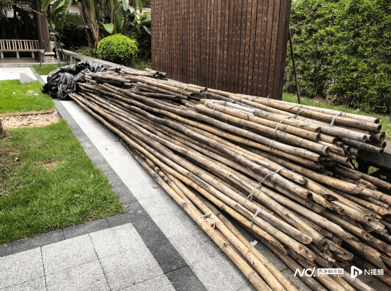 暗访回头看：广州口袋公园乱象整改成效如何<strong></p>
<p>中国石油股票</strong>？记者再探