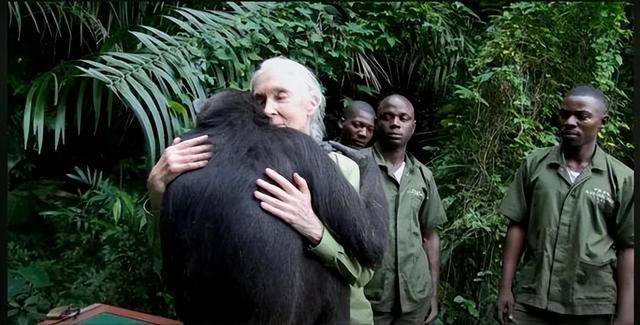 “课本上的传奇”<strong></p>
<p>百度股票</strong>,走了