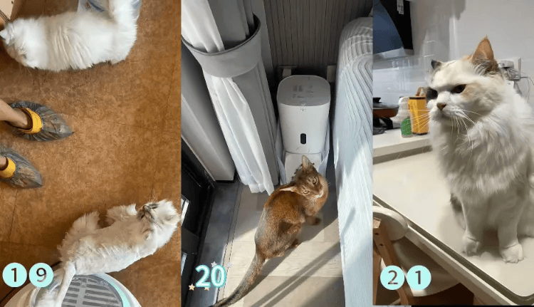 这个需求激增！一男子连接270单<strong></p>
<p>京东方a股票</strong>，其中一笔收费8100元