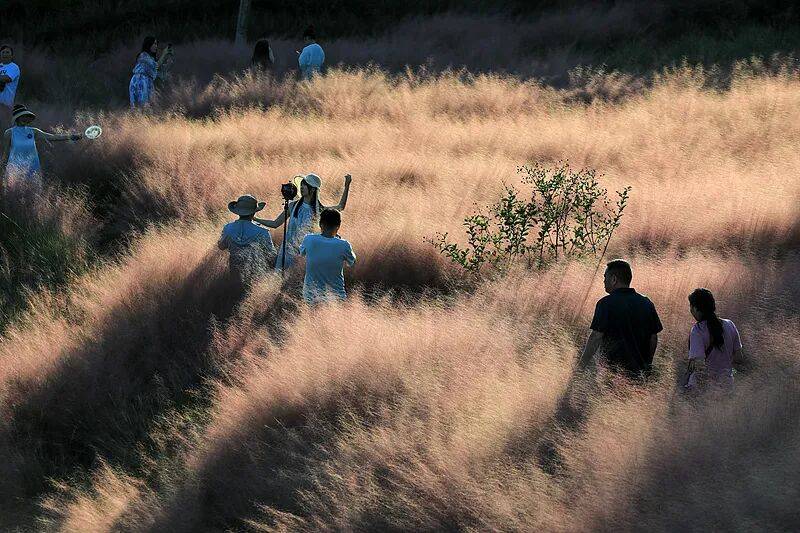 打卡拍照<strong></p>
<p>中国银行股票</strong>,再美也不能用生命对焦