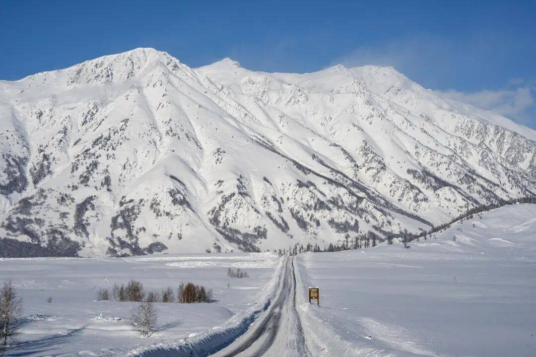 紧急公告:违规擅入<strong></p>
<p>以岭药业股票</strong>,救援费用自行承担!