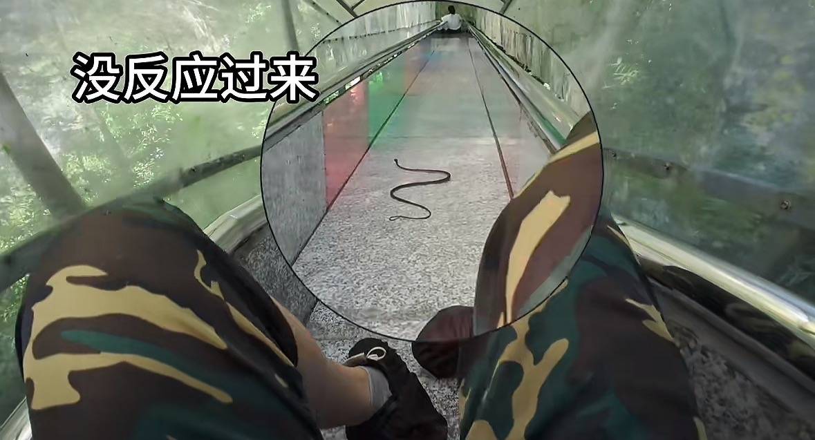 游客称在广西丹炉山滑道遇蛇<strong></p>
<p>360股票</strong>，景区致歉：这么多年就这一次，每年都做防蛇处理