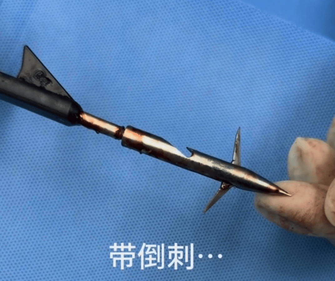 教育局回应“一教师用弓箭射杀小狗”:不实<strong></p>
<p>紫金矿业股票</strong>,小狗进学校前就被射伤