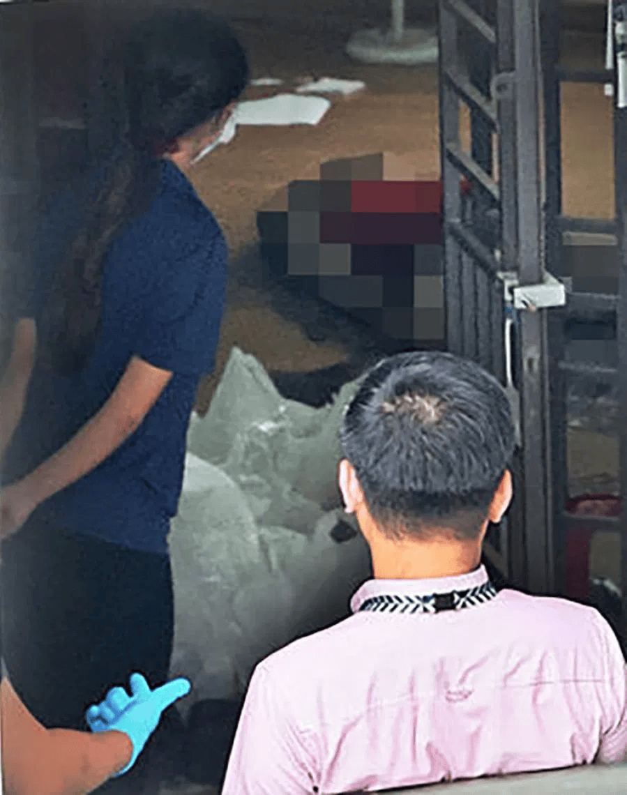 新加坡现双尸案：父亲成白骨<strong></p>
<p>紫金矿业股票</strong>，剑桥博士女儿疑饿死，一家来自东北