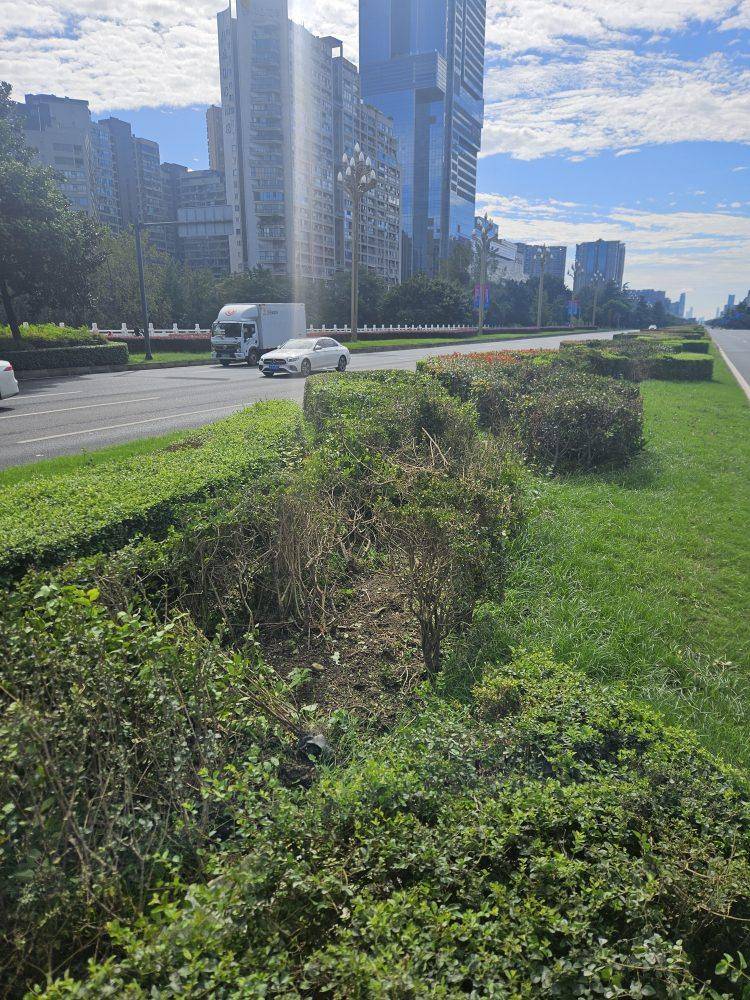 成都发生一起严重交通事故<strong></p>
<p>方正科技股票</strong>，上游新闻实地探访：燃烧留下的印记仍在