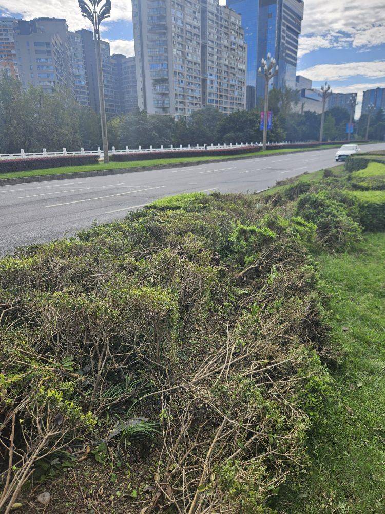 成都发生一起严重交通事故<strong></p>
<p>方正科技股票</strong>，上游新闻实地探访：燃烧留下的印记仍在